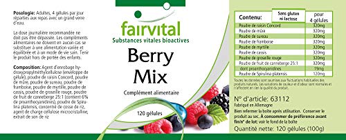 Bayas Mix - Selección de 8 bayas + Alga Spirulina platensis - VEGANO - Dosis elevada - 120 Cápsulas - Calidad Alemana