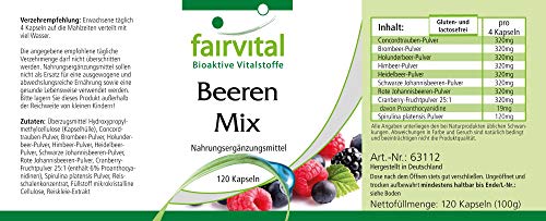 Bayas Mix - Selección de 8 bayas + Alga Spirulina platensis - VEGANO - Dosis elevada - 120 Cápsulas - Calidad Alemana