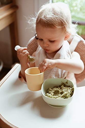 Béaba Vajilla de silicona con ventosa resistente, Completa con 4 piezas, Plato, bol, taza y cuchara de silicona de alta calidad con ventosa, Alimenta a tu bebé o hijo fácil