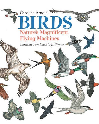 Birds: Nature's Magnificent Flying Machines by Caroline Arnold (2003-07-01)