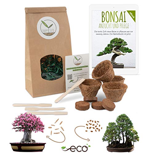 Bonsai Kit incl. eBook GRATUITO - Set con macetas de coco, semillas y tierra - idea de regalo sostenible para los amantes de las plantas (Rosa del Desierto + Secoya Gigante)