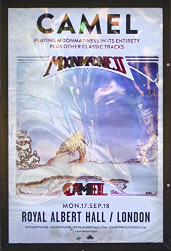 Camel - At The Royal Albert Hall [Italia] [DVD]