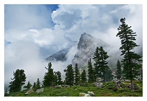 Cedro siberiano colgante con corteza – realizar llamadas Cedars de Rusia Kin dominio de oro Colección fabricado en Kin dominio Sunny Meadow, Siberia, Rusia por Kin del dominio residentes.