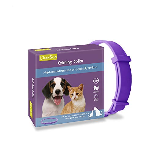 Collar calmante para perros y gatos,Collar ajustable contra la ansiedad,Alivio de la ansiedad de efecto calmante duradero a prueba de agua natural y seguro,1 paquete(Grande)