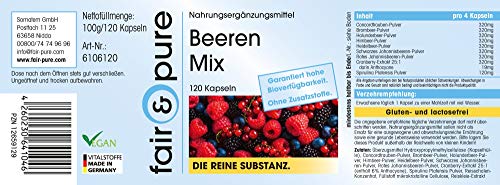 Complejo Multivitamínico con Spirulina - Mix de 8 Bayas con Alga Spirulina platensis - Vegano - Alta pureza - 120 Cápsulas