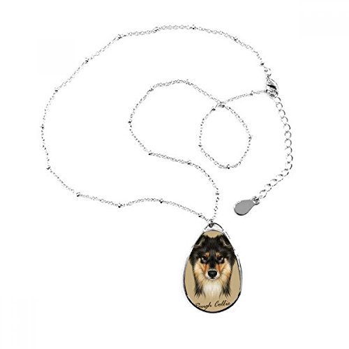 DIYthinker Pelo Largo Rough Collie Pet Animal Forma de Lagrima Colgante Collar Joyas con Cadena decoración Regalo