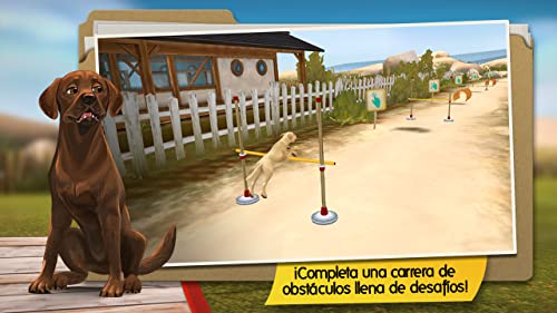 DogHotel free - Mi residencia para perros