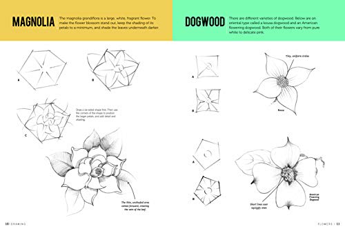 Drawing: Flowers with William F. Powell: Learn to draw step by step (How to Draw & Paint)