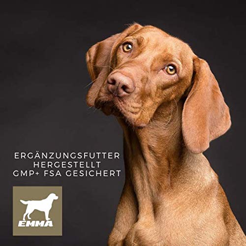 EMMA Ayuda digestiva Perros y Aceite de linaza Vit E I Set económico I para una digestión óptima con alcaravea e hinojo I para una Flora intestinal Sana después de la diarrea, 30 ml I 250 ml