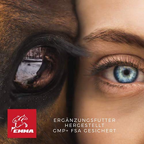 EMMA Ayuda digestiva Perros y Aceite de linaza Vit E I Set económico I para una digestión óptima con alcaravea e hinojo I para una Flora intestinal Sana después de la diarrea, 30 ml I 250 ml