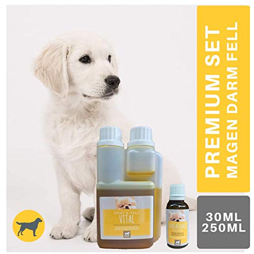 EMMA Ayuda digestiva Perros y Aceite de linaza Vit E I Set económico I para una digestión óptima con alcaravea e hinojo I para una Flora intestinal Sana después de la diarrea, 30 ml I 250 ml