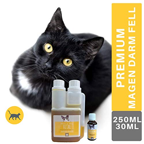 EMMA digestivo para Gatos más Aceite de linaza Vit E I Set económico I para una digestión óptima con alcaravea e hinojo I para una Flora intestinal Sana después de la diarrea, 30ml I 250ml