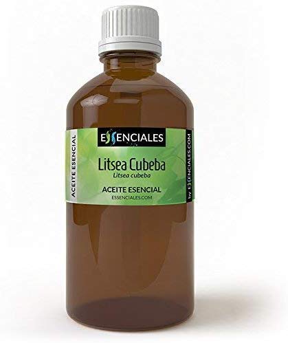 Essenciales - Aceite Esencial Litsea Cubeba/May Chang, 100% Puro, 100 ml | Aceite Esencial Litsea Cubeba - May Chang - Verbena Exótica