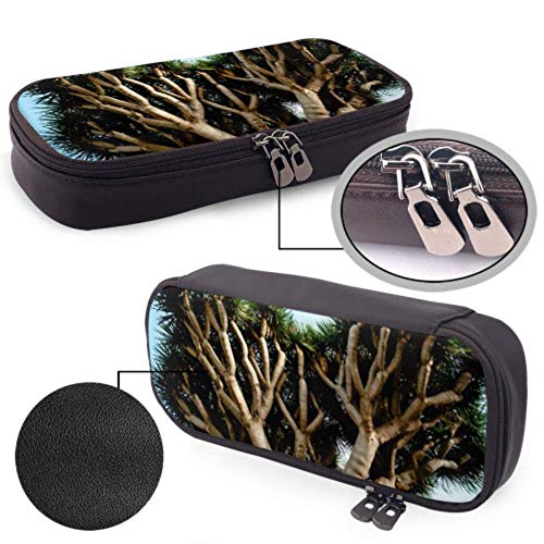 Estuche para lápices - Dragon Tree Tenerife Dracaena más grande de España Estuche para lápices de alta capacidad Organizador de papelería Estuche para maquillaje de viaje multifunción, Estuche para l