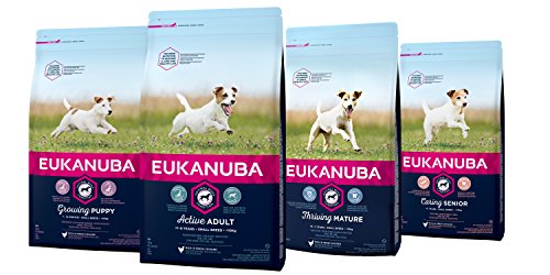 EUKANUBA Raza Pequeña Adulto Activo rico en pollo fresco [3 kg]