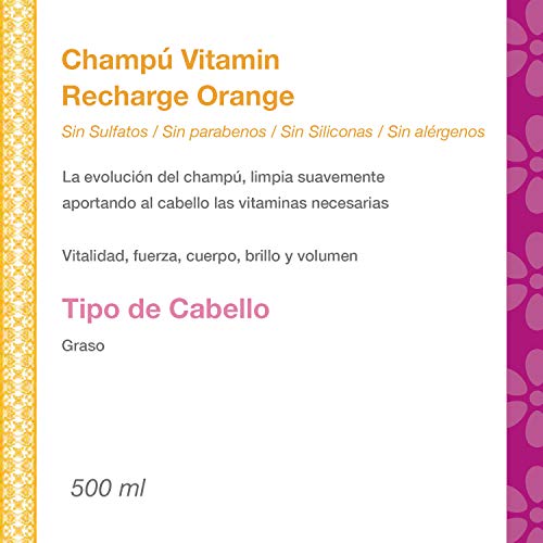 Eva Professional Hair Care Champú Vitamin Recharge Orange 500 ml