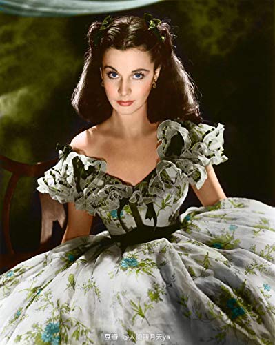 FHGFB DIY「Vivien Leigh」Pintura por números para Adultos Pintura al óleo Lienzo Pared Hogar Sala de Estar Dormitorio Decoración de Oficina Regalo Sin Marco -40x50cm