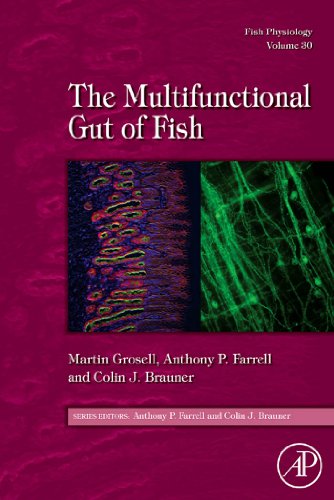 Fish Physiology: The Multifunctional Gut of Fish (ISSN Book 30) (English Edition)