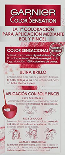 Garnier Color Sensation coloración permanente e intensa reutilizable con bol y pincel - 4.0 Castaño