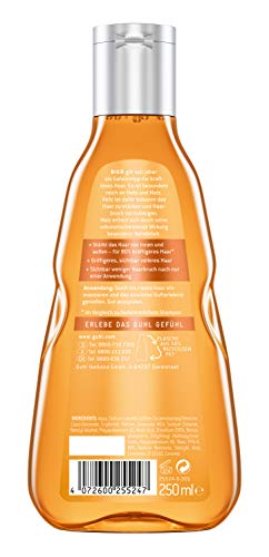 Guhl - Champú intensivo con cerveza para fortalecer el cabello y dar volumen, para cabello fino y sin fuerza, 250 ml