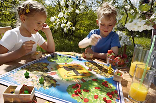 HABA Frutal, ESP (3403), emocionante Dados, con 40 Frutas de Madera y Reglas fáciles de Entender, Popular Juego de Mesa a Partir de 3 años. (HA3403)