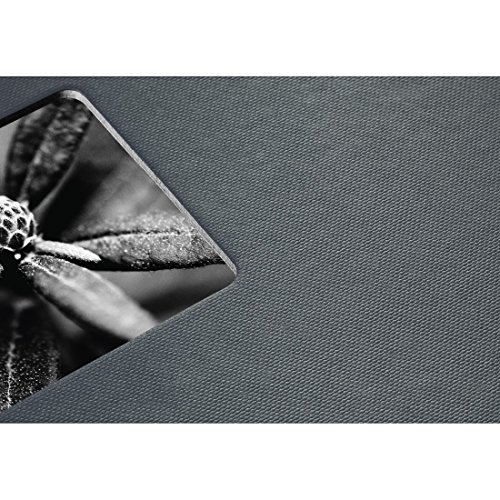 Hama Fine Art - Álbum de fotos, 50 páginas negras (25 hojas), álbum con espiral, 36 x 32 cm, con compartimento para insertar foto, gris