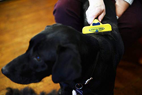 Herramienta de muda para perros grandes de pelo corto L