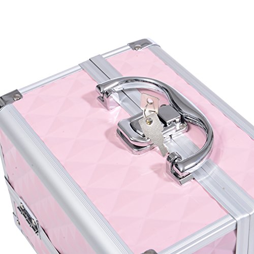 HOMCOM Maletín de Maquillaje Organizador Cosméticos Profesional Estuche de Maquillaje Caja de Belleza Portátil con Cerradura Varios Compartimientos 20x15x15cm Aluminio