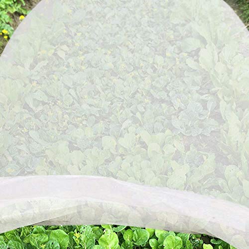 JYCRA Paño anticongelante para plantas, de tela no tejida, reutilizable, cubierta de hilera flotante, manta de congelación para plantas de jardín y verduras, tela sin tejer, Blanco, 2m x 6m