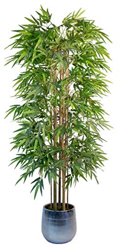 Maia Shop Bambú Cañas Naturales, Ideal para Decoración de Hogar, Árbol, Planta Artificial (180 cm), Materiales Mixtos