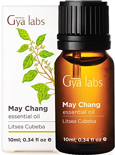 May Chang Essential Oil - Una ola nutritiva de rejuvenecimiento para la piel (10 ml) - Aceite esencial Litsea 100% puro de grado terapéutico