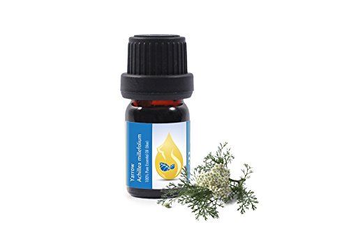 Milenrama (Achillea millefolium) - Aceite esencial 100% puro, sin diluir, grado terapéutico (5ml)