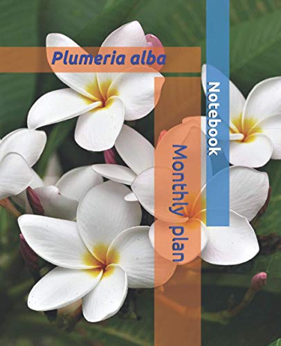 Monthly plan good notebook: Plumeria alba white yellow flower in Thailand