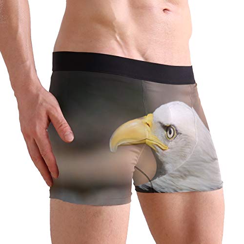 MONTOJ Serious Calvo Eagle Calzoncillos bóxer para Hombre inspirados en Deportes 1 XL