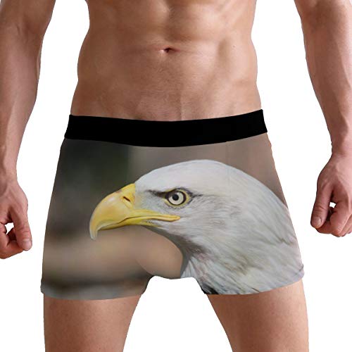 MONTOJ Serious Calvo Eagle Calzoncillos bóxer para Hombre inspirados en Deportes 1 XL