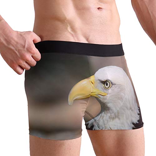 MONTOJ Serious Calvo Eagle Calzoncillos bóxer para Hombre inspirados en Deportes 1 XL