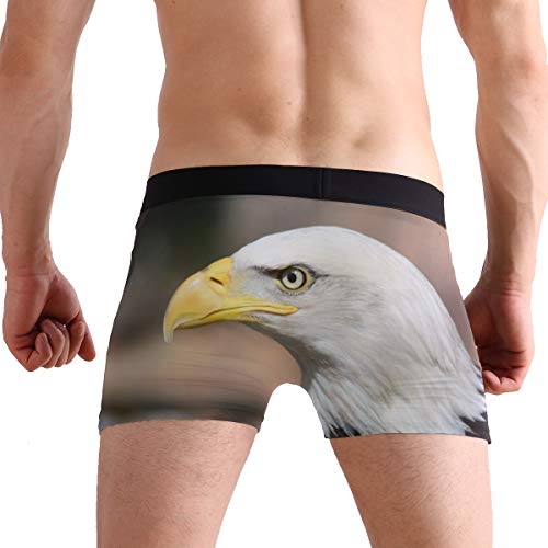 MONTOJ Serious Calvo Eagle Calzoncillos bóxer para Hombre inspirados en Deportes 1 XL