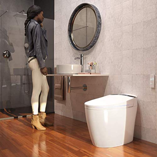 Nashi Aldara New Inodoro Bidet completo, Asiento Sanitario japonés Inteligente, WC para baño con Ducha eléctrica