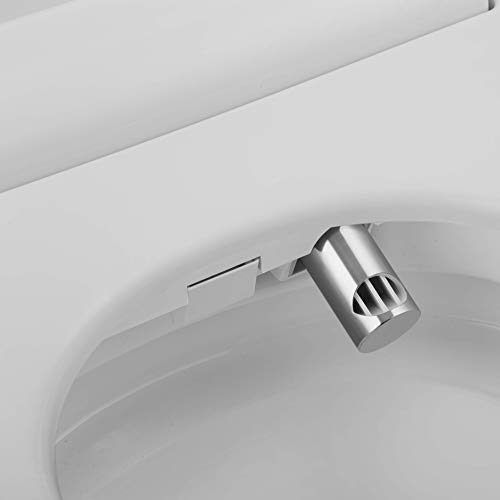 Nashi Aldara New Inodoro Bidet completo, Asiento Sanitario japonés Inteligente, WC para baño con Ducha eléctrica