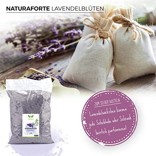 NaturaForte Flores de lavanda 1kg Lavanda sin aditivos - Azul, Fragancia intensa, Flores de lavanda secas para almohadas perfumadas, Bolsas perfumadas, Bolsas de lavanda, Fragancia de popurrí