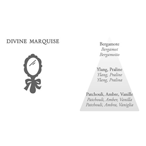 Nueva carga Difusor para ambiente 'Mathilde M.' Aroma Divine 'Marquise' – 200 ml