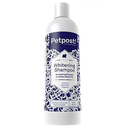 Petpost | Shampoo Blanqueador para Perros – El Mejor Tratamiento de Aclaramiento para Perros con Pelaje Blanco – Calmante Fragancia de Sandía – para Malteses, Shih Tzu, Caniche – 474 mL