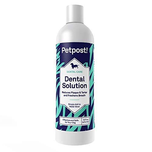 Petpost | Solución Dental para Perros - Aditivo De Agua Que Mata El Mal Aliento - Plaquetas Y Caries Dental - Solución De Limpieza Natural para Los Dientes