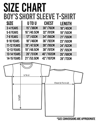 Pokèmon Panels Boy's T-Shirt (5-6 Years)