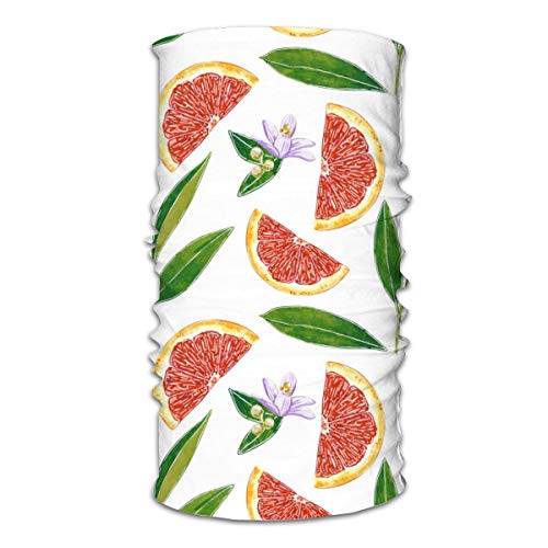 Pomelo Rojo Botánico Elástico Sin Costura Absorbe la Humedad Cuello Polaina Diadema Bandana Mascarilla para Deporte al Aire Libre