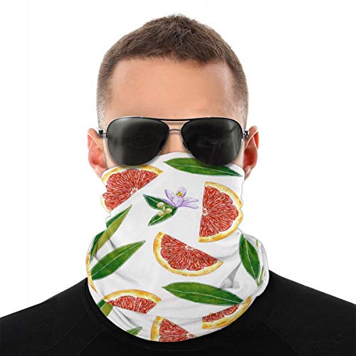 Pomelo Rojo Botánico Elástico Sin Costura Absorbe la Humedad Cuello Polaina Diadema Bandana Mascarilla para Deporte al Aire Libre