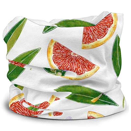 Pomelo Rojo Botánico Elástico Sin Costura Absorbe la Humedad Cuello Polaina Diadema Bandana Mascarilla para Deporte al Aire Libre