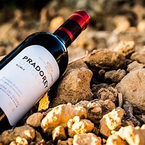 PRADOREY Roble Origen -Vino tinto - Roble-Ribera del Duero-95%Tempranillo, 3% Cabernet sauvignon, 2% Merlot - Vino joven con ligero paso por barrica-1 Botella-0,75L