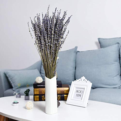 PTVwire Ramos de Lavanda secas 100% Natural para decoración del hogar, Fragancia del hogar, Flores de jabón Hechas a Mano