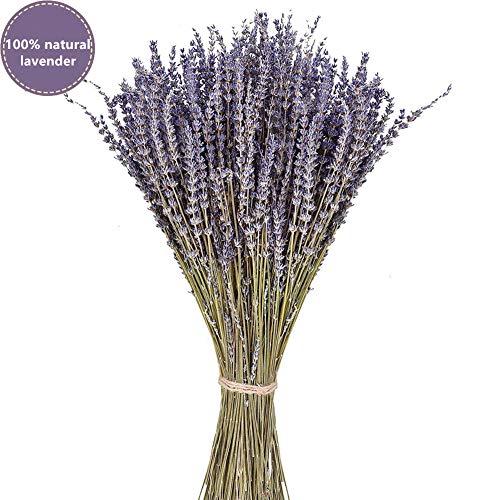 PTVwire Ramos de Lavanda secas 100% Natural para decoración del hogar, Fragancia del hogar, Flores de jabón Hechas a Mano